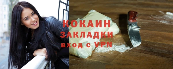 дмт Ладушкин