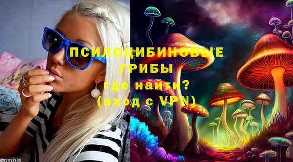 a pvp Лиски