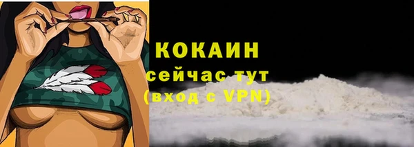 дмт Ладушкин